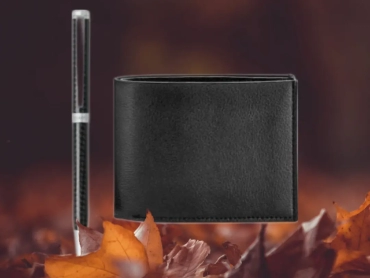 sheaffer-ball-point-pen-with-slim-wallet
